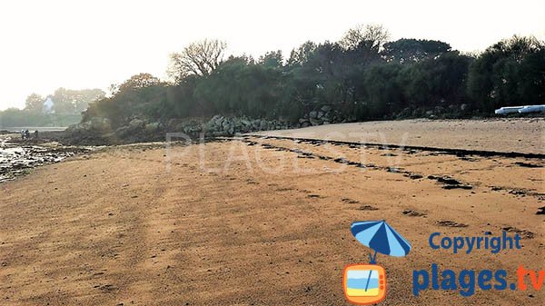 Plage avec du sable ocre à Lanmodez - Traezh Coalen